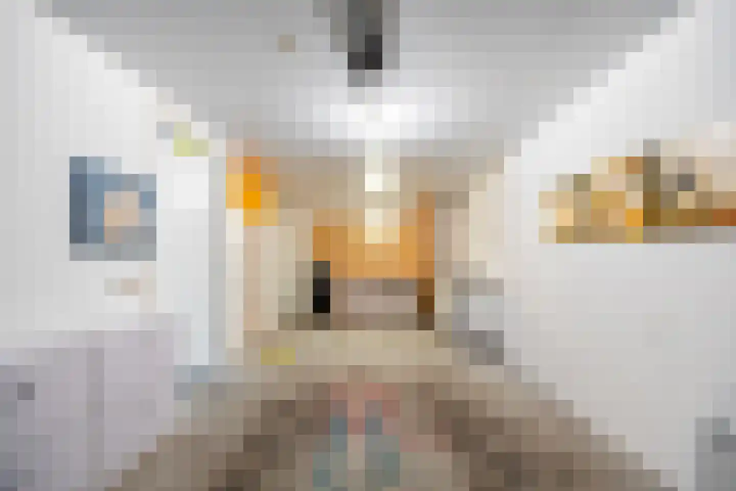 Hof van Hagevoort 102 Wijchen thumbnail 40