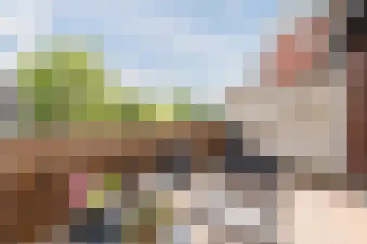 Hof van Hagevoort 114 Wijchen thumbnail 22