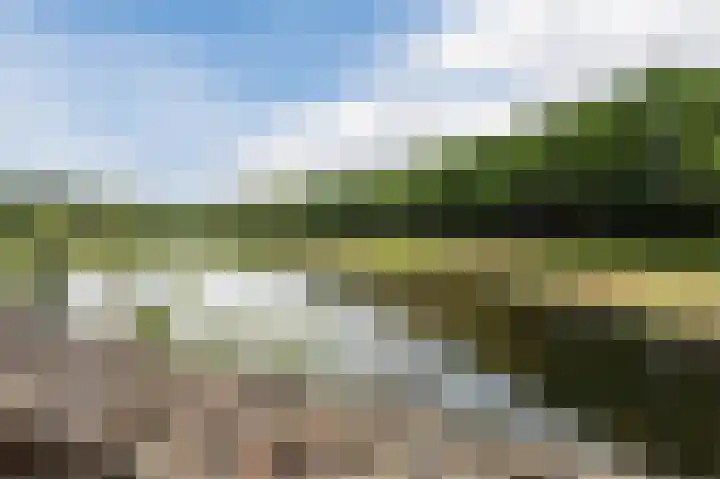 Hof van Hagevoort 114 Wijchen thumbnail 39
