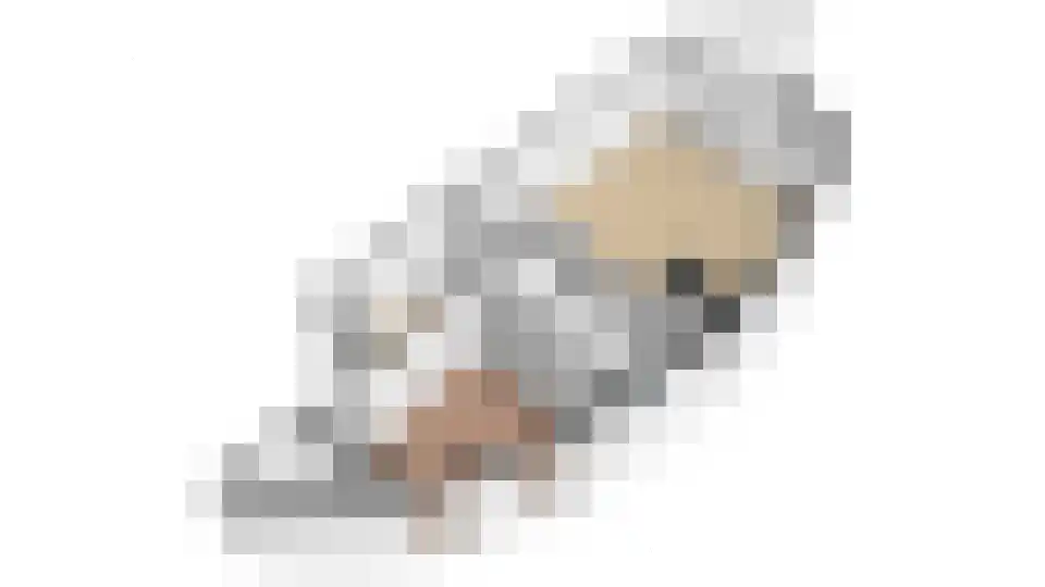Hof van Hagevoort 15 Wijchen thumbnail 30