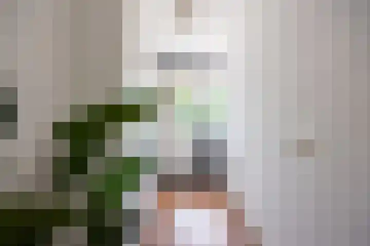 Hof van Hagevoort 164 Wijchen thumbnail 32