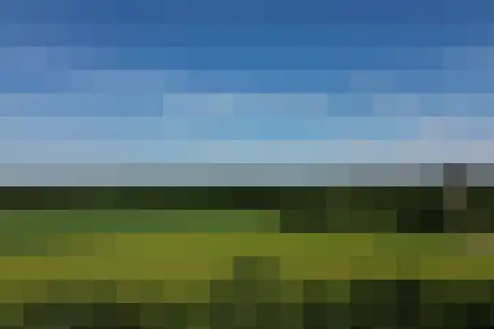 Hof van Hagevoort 164 Wijchen thumbnail 36