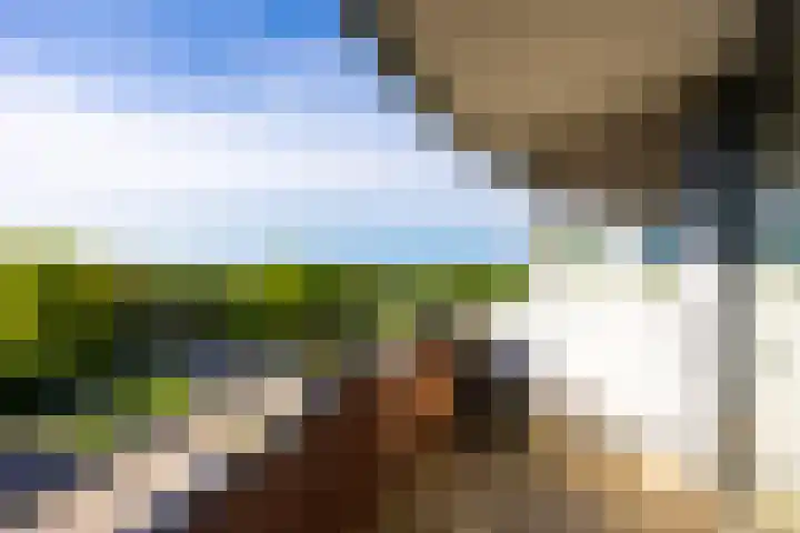 Hof van Hagevoort 234 Wijchen thumbnail 18