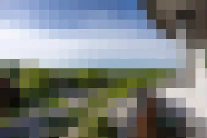 Hof van Hagevoort 234 Wijchen thumbnail 20