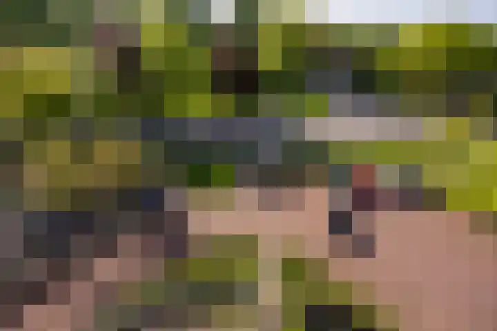 Hof van Hagevoort 234 Wijchen thumbnail 21