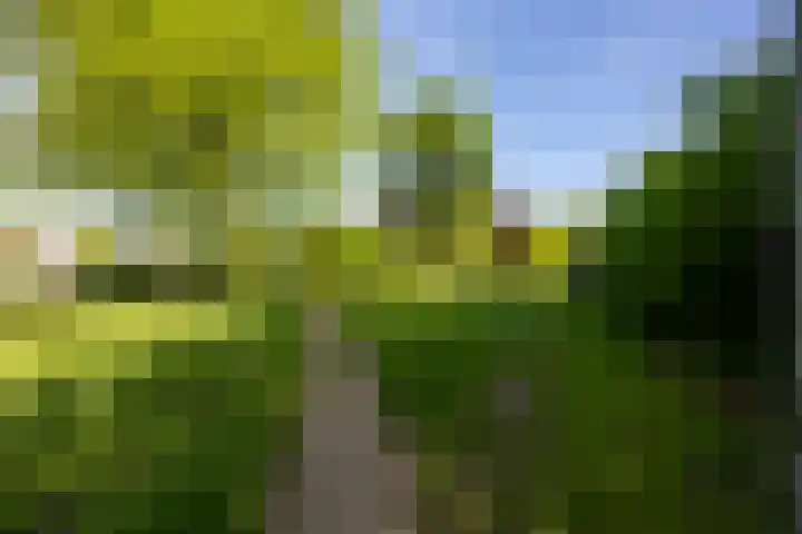 Hof van Hagevoort 234 Wijchen thumbnail 38