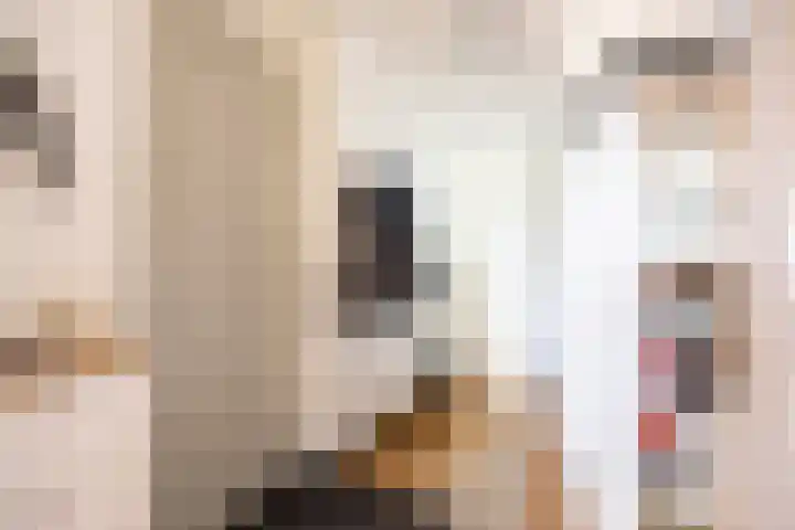 Hof van Hagevoort 234 Wijchen thumbnail 8