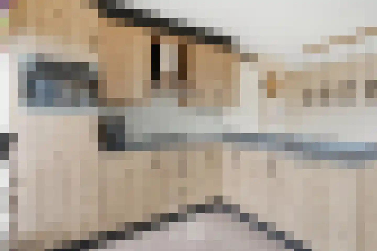 Hof van Hagevoort 25 Wijchen thumbnail 17
