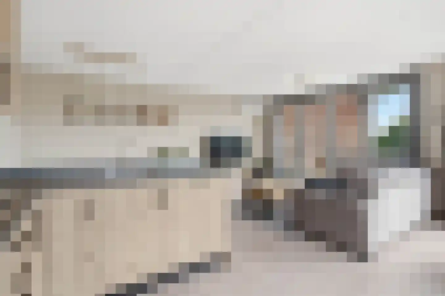 Hof van Hagevoort 25 Wijchen thumbnail 4