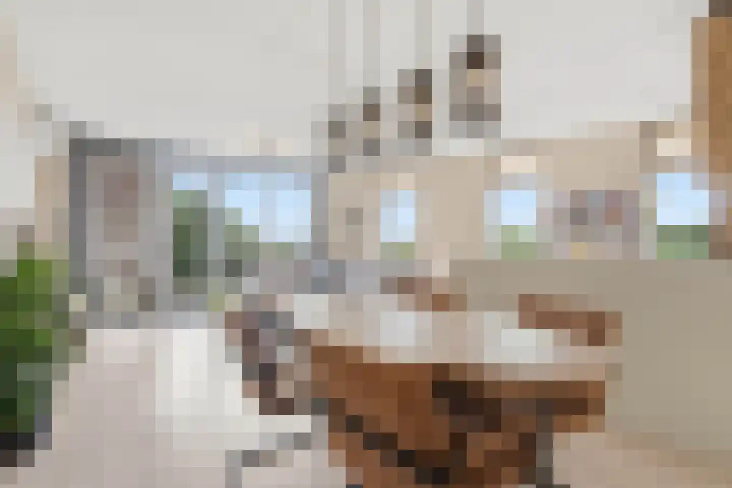 Hof van Hagevoort 25 Wijchen thumbnail 9