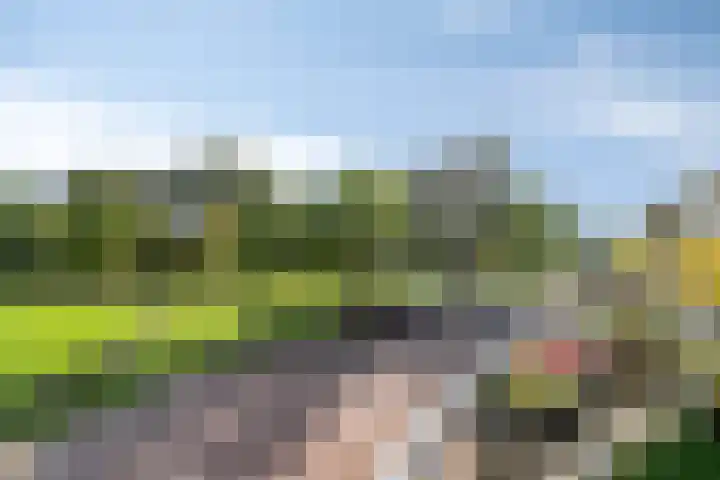 Hof van Hagevoort 27 Wijchen thumbnail 23