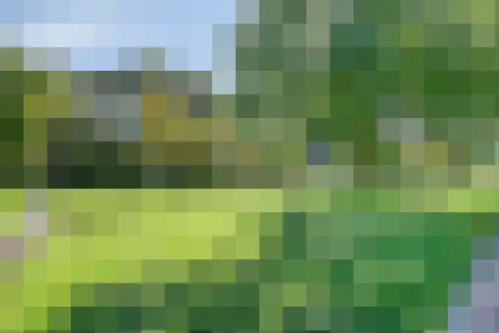 Hof van Hagevoort 27 Wijchen thumbnail 28