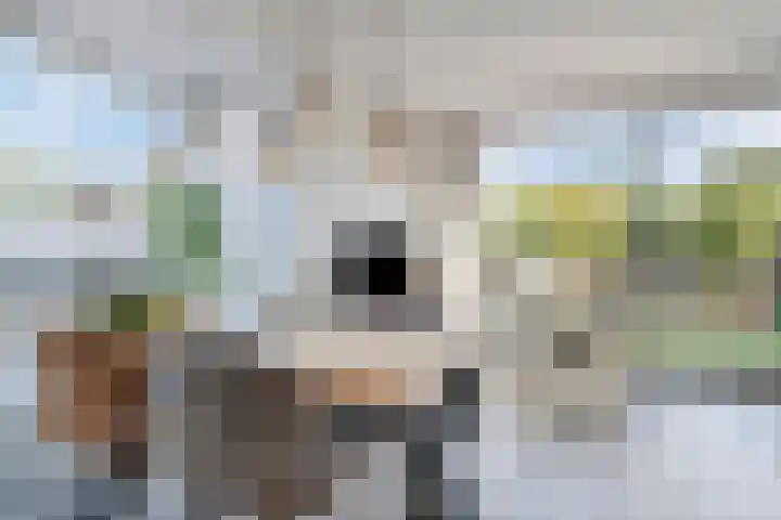 Hof van Hagevoort 27 Wijchen thumbnail 5