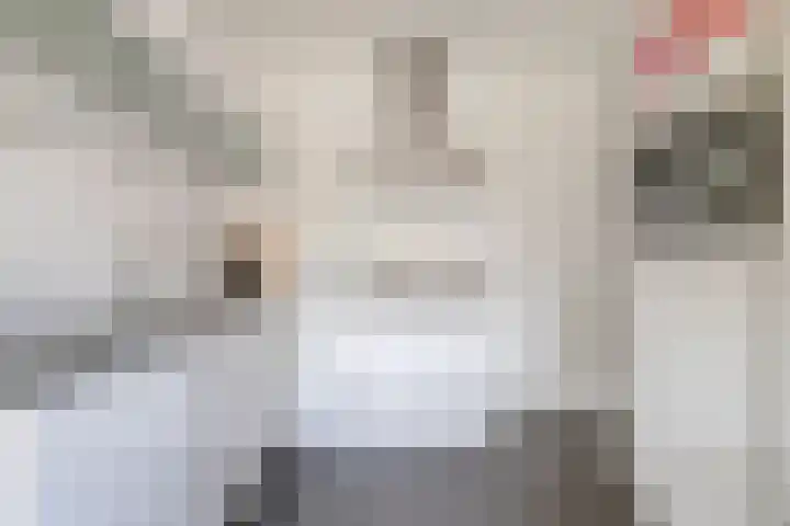 Hof van Hagevoort 27 Wijchen thumbnail 6