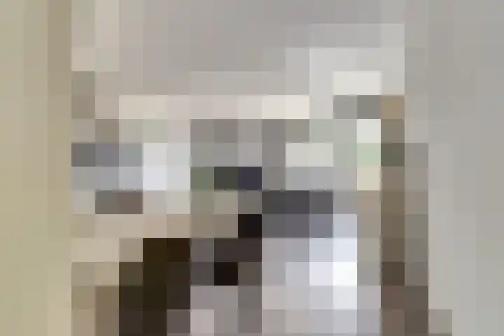 Hof van Hagevoort 4 Wijchen thumbnail 10