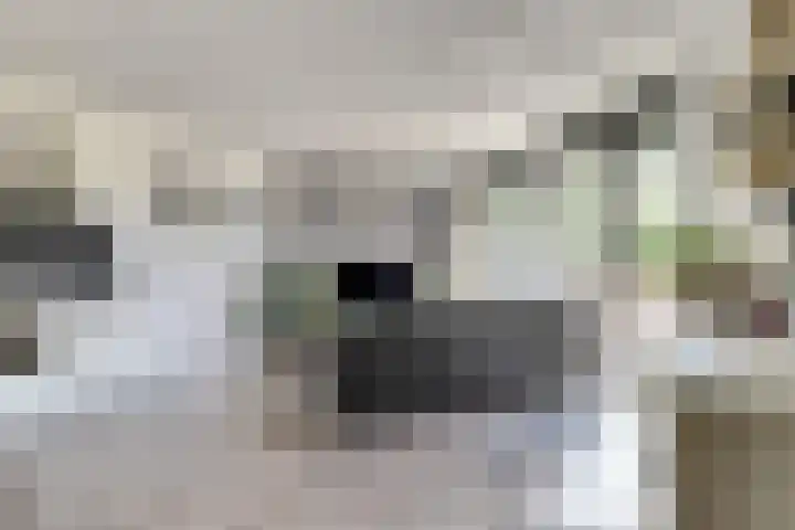 Hof van Hagevoort 4 Wijchen thumbnail 11