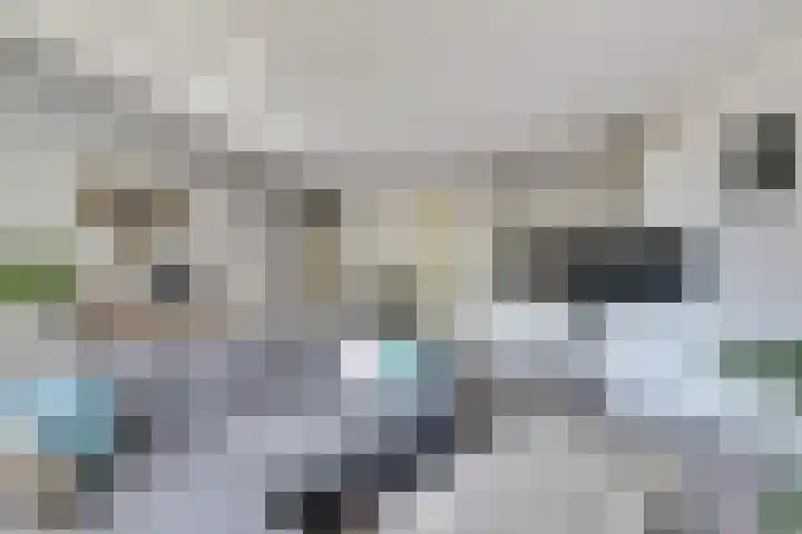 Hof van Hagevoort 4 Wijchen thumbnail 13