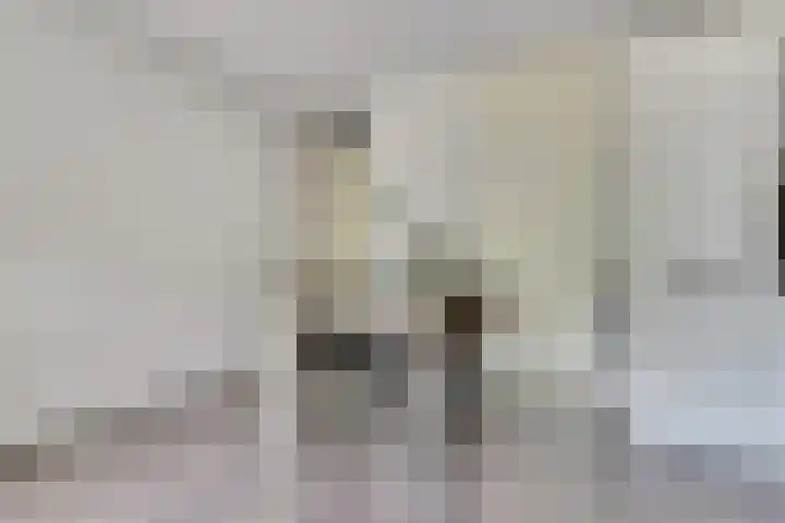 Hof van Hagevoort 4 Wijchen thumbnail 14