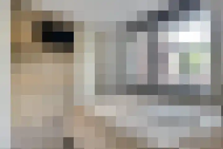 Hof van Hagevoort 4 Wijchen thumbnail 18