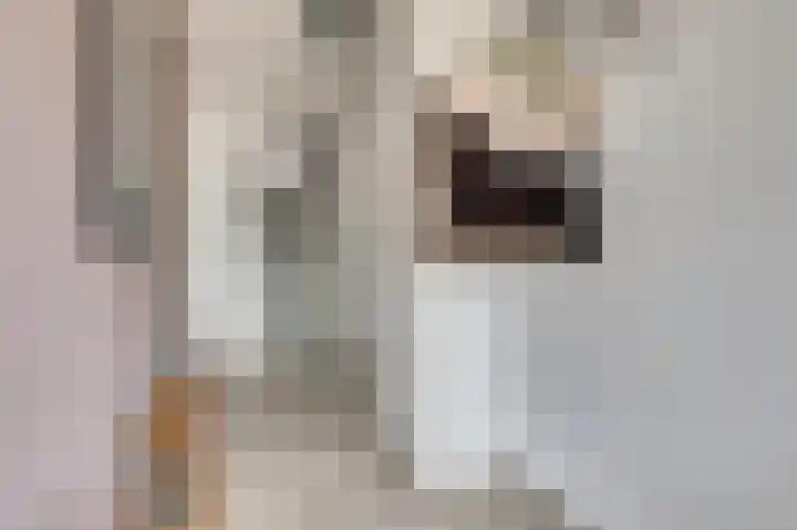 Hof van Hagevoort 50 Wijchen thumbnail 5