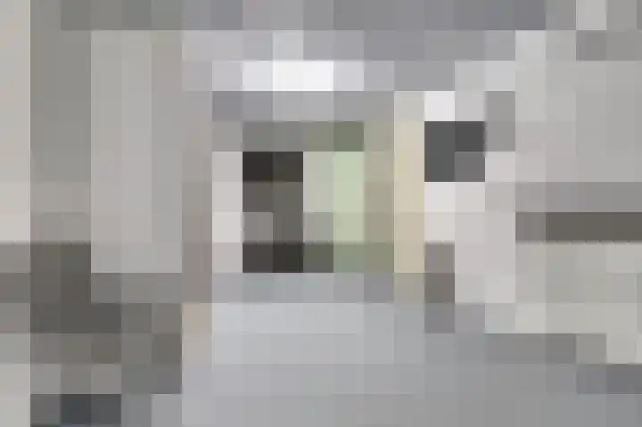 Hof van Hagevoort 50 Wijchen thumbnail 8