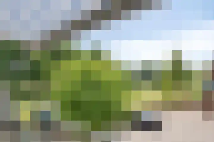 Hof van Hagevoort 84 Wijchen thumbnail 11
