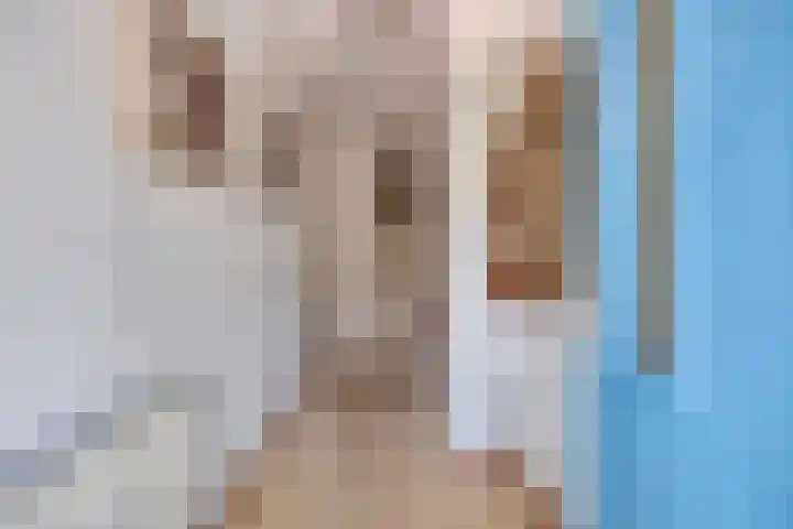 Hof van Hagevoort 84 Wijchen thumbnail 24