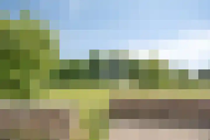 Hof van Hagevoort 84 Wijchen thumbnail 27