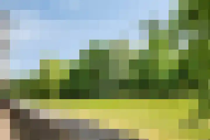 Hof van Hagevoort 84 Wijchen thumbnail 28