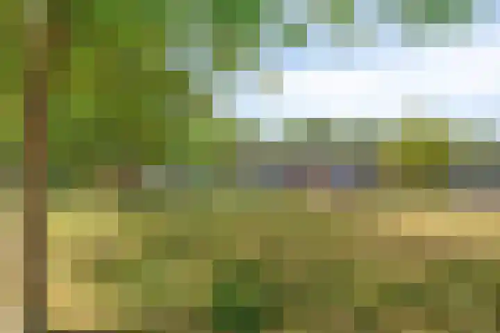 Hof van Hagevoort 84 Wijchen thumbnail 30