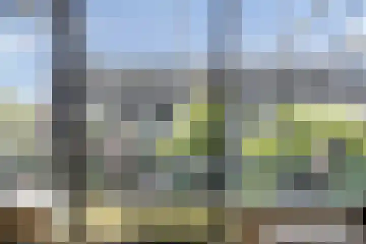 Hof van Hagevoort 84 Wijchen thumbnail 8