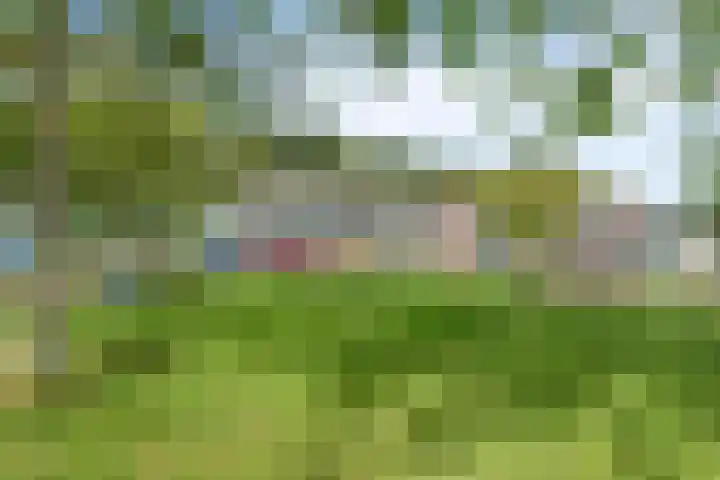 Hof van Hagevoort 87 Wijchen thumbnail 34