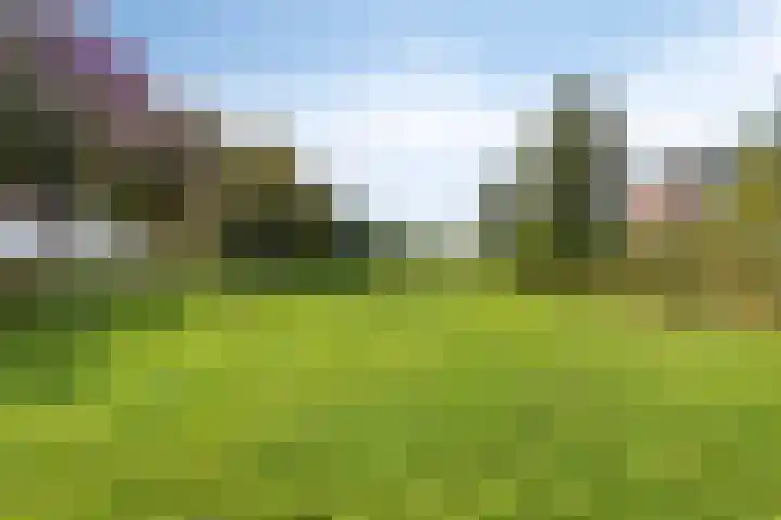 Hof van Hagevoort 87 Wijchen thumbnail 35