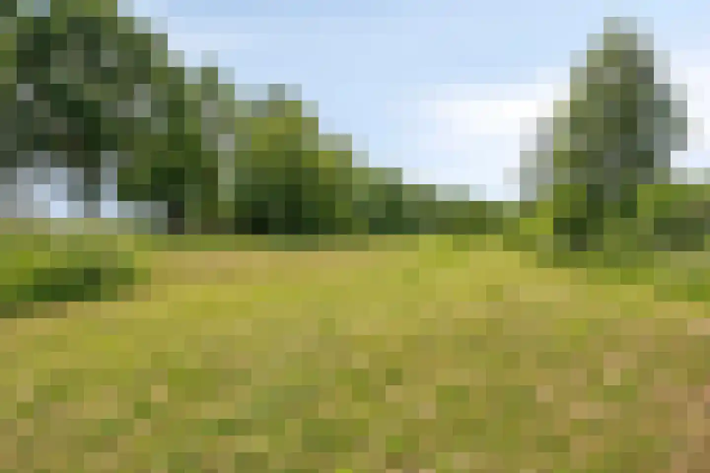 Hof van Hagevoort 90 Wijchen thumbnail 26