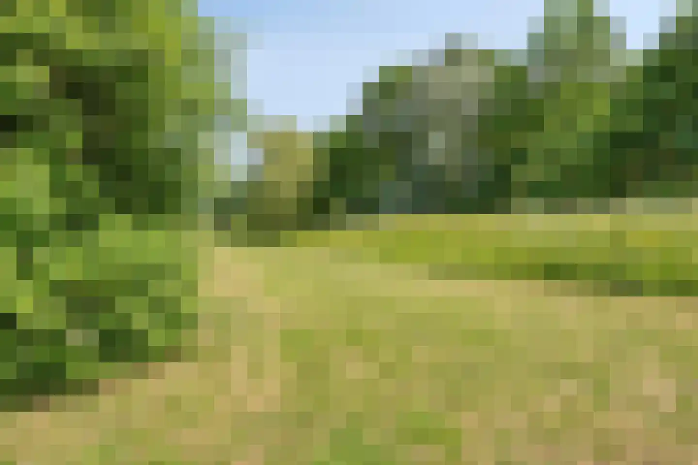 Hof van Hagevoort 90 Wijchen thumbnail 27