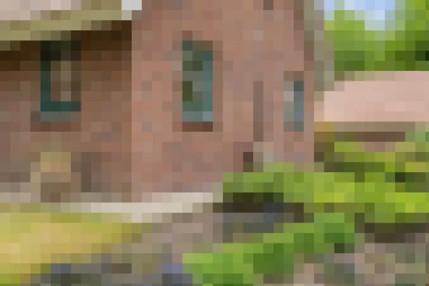 Hof van Halenweg 2 129 Hooghalen thumbnail 10