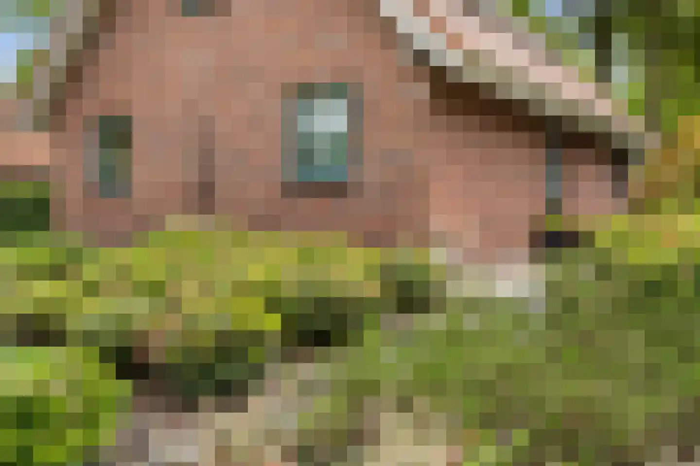 Hof van Halenweg 2 129 Hooghalen thumbnail 11