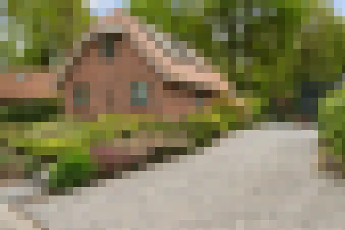 Hof van Halenweg 2 129 Hooghalen thumbnail 12