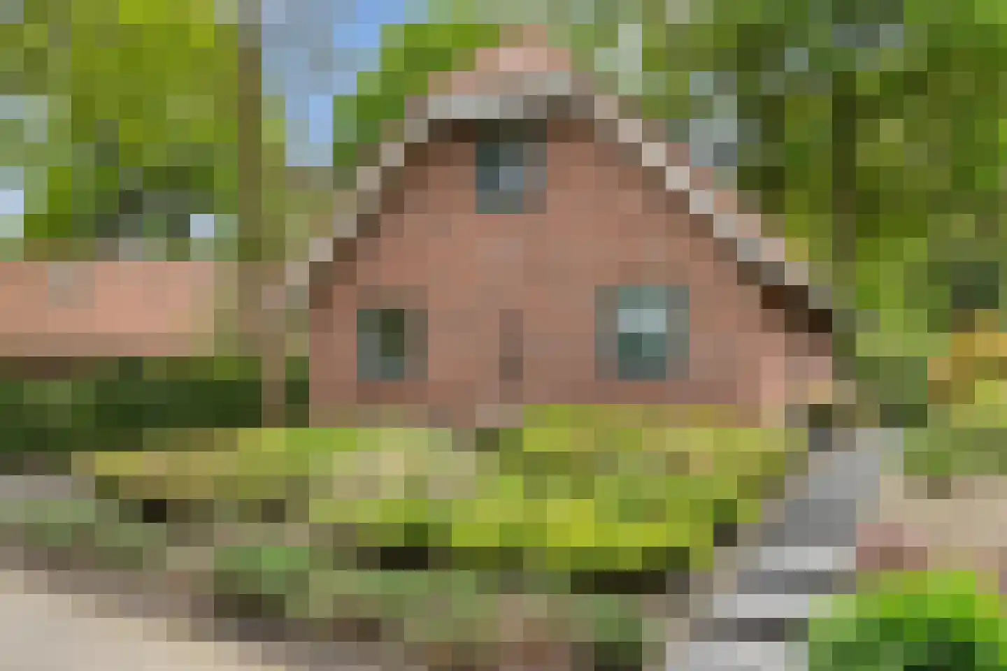 Hof van Halenweg 2 129 Hooghalen thumbnail 5