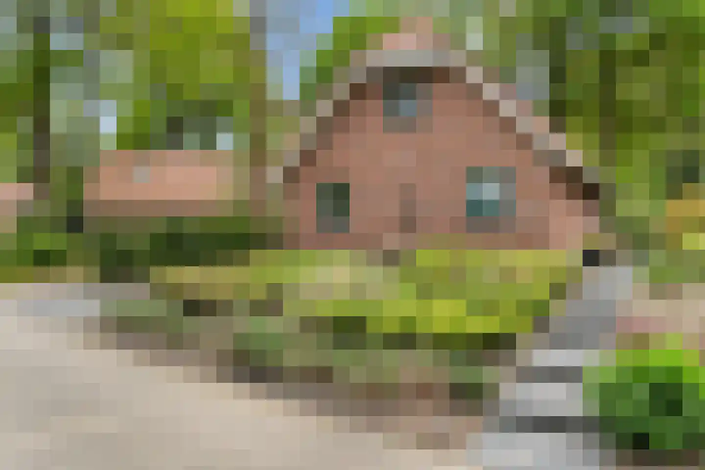 Hof van Halenweg 2 129 Hooghalen thumbnail 6