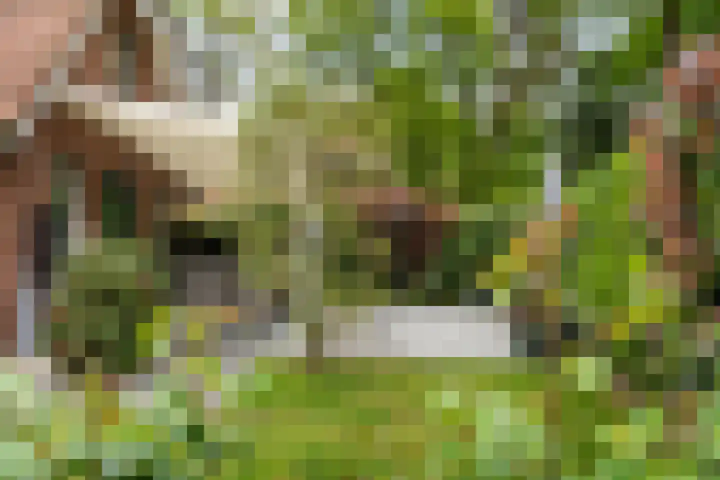 Hof van Halenweg 2 129 Hooghalen thumbnail 8