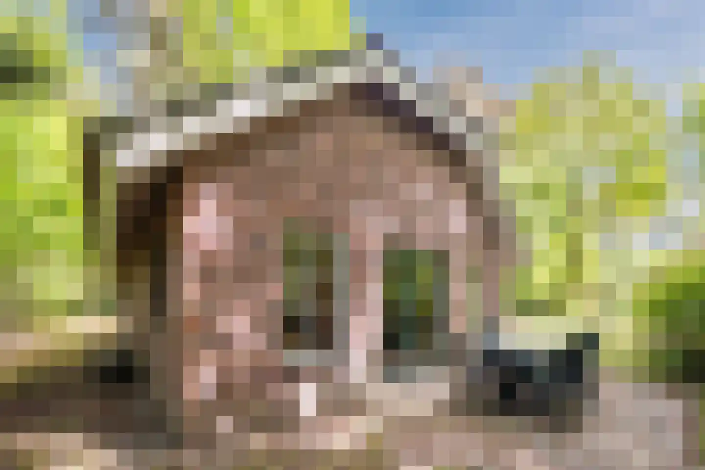 Hof van Halenweg 2 142 Hooghalen thumbnail 33