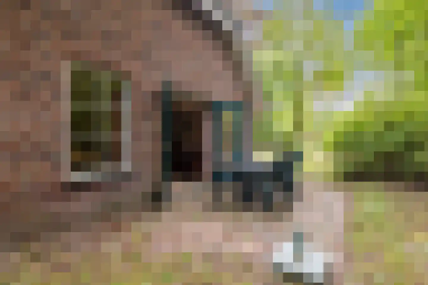 Hof van Halenweg 2 142 Hooghalen thumbnail 34
