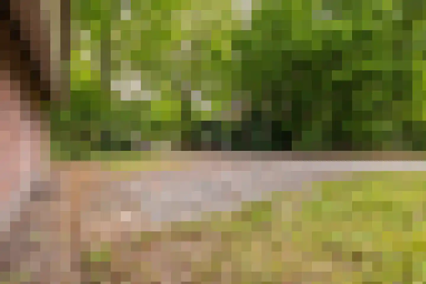 Hof van Halenweg 2 142 Hooghalen thumbnail 36