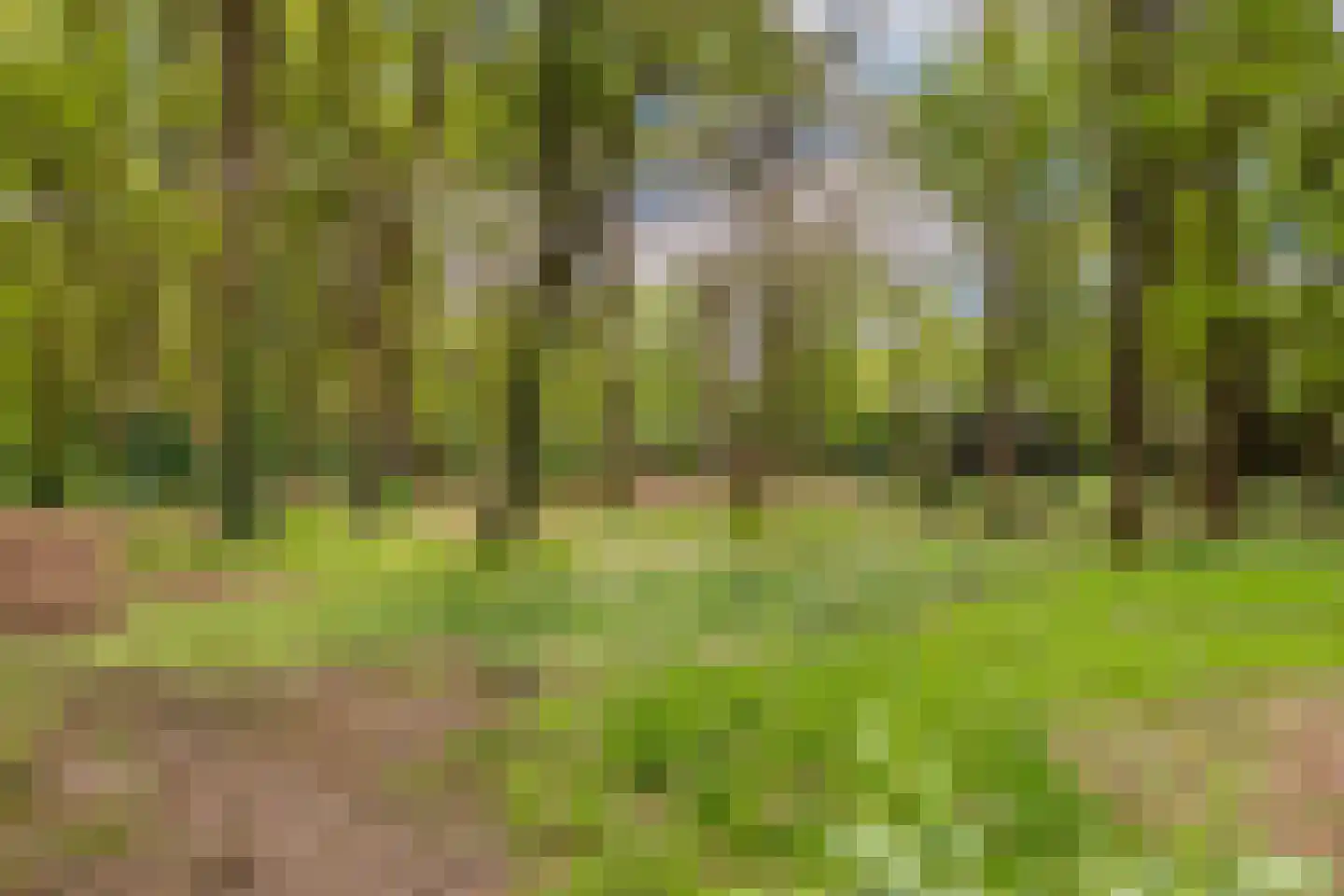 Hof van Halenweg 2 142 Hooghalen thumbnail 38