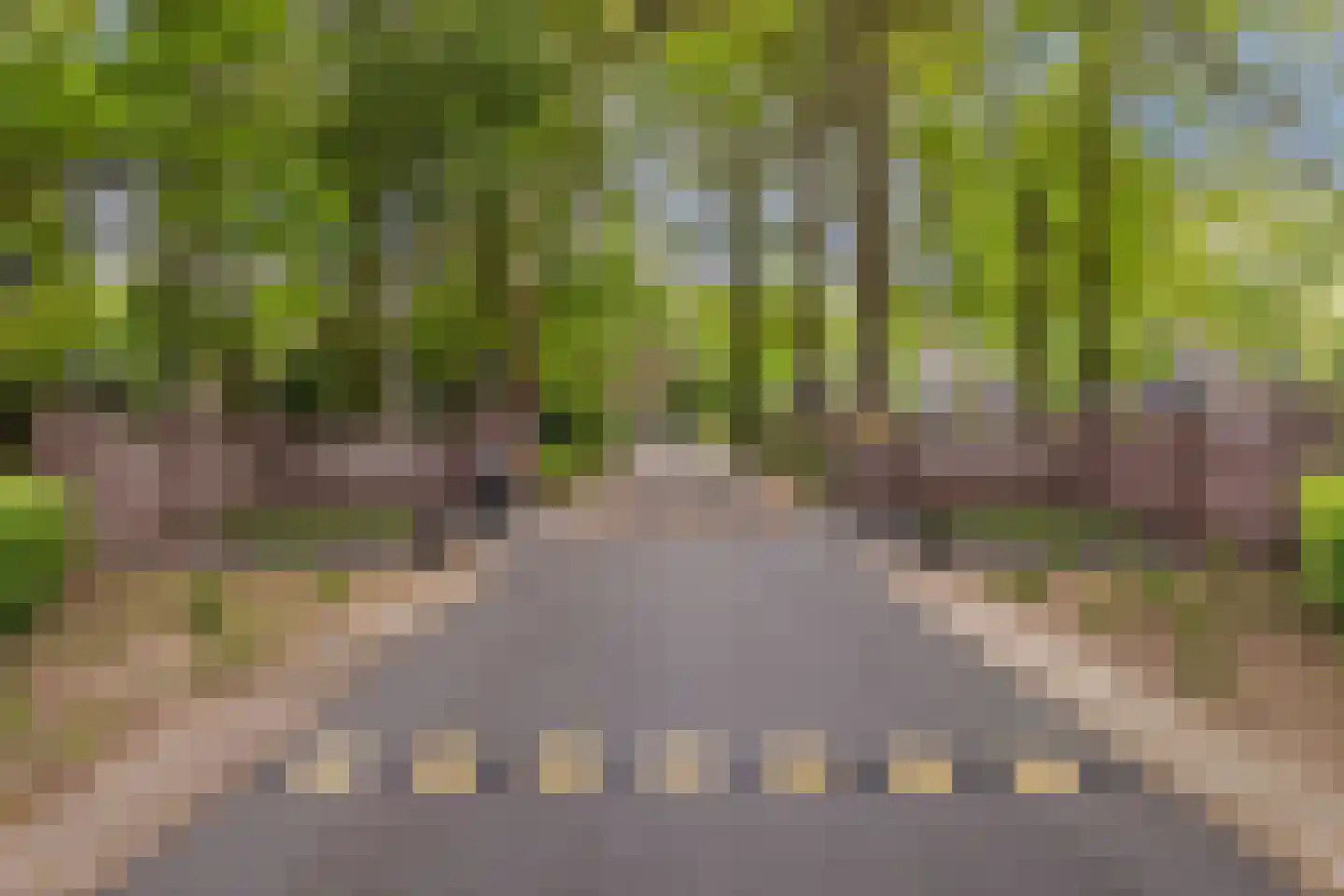 Hof van Halenweg 2 142 Hooghalen thumbnail 39