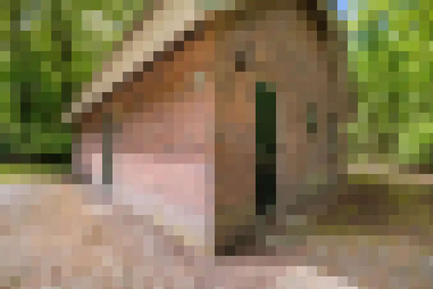Hof van Halenweg 2 142 Hooghalen thumbnail 4