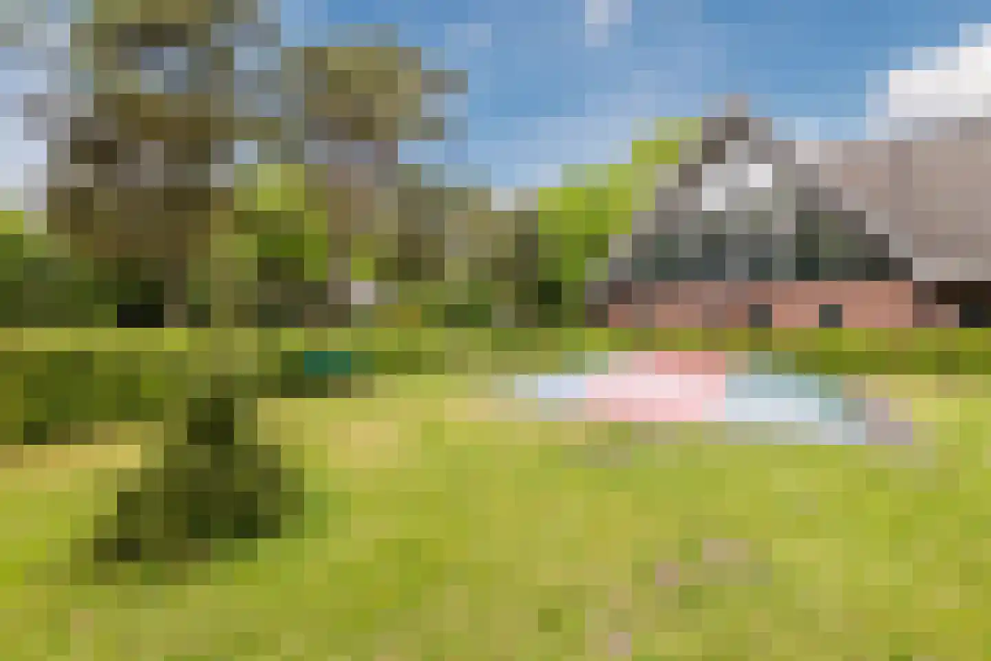 Hof van Halenweg 2 142 Hooghalen thumbnail 40