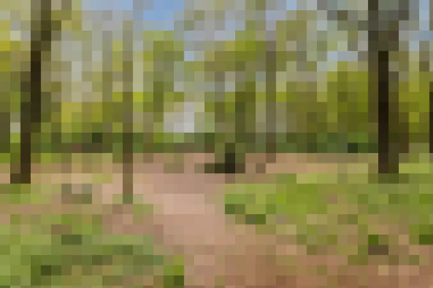 Hof van Halenweg 2 142 Hooghalen thumbnail 42