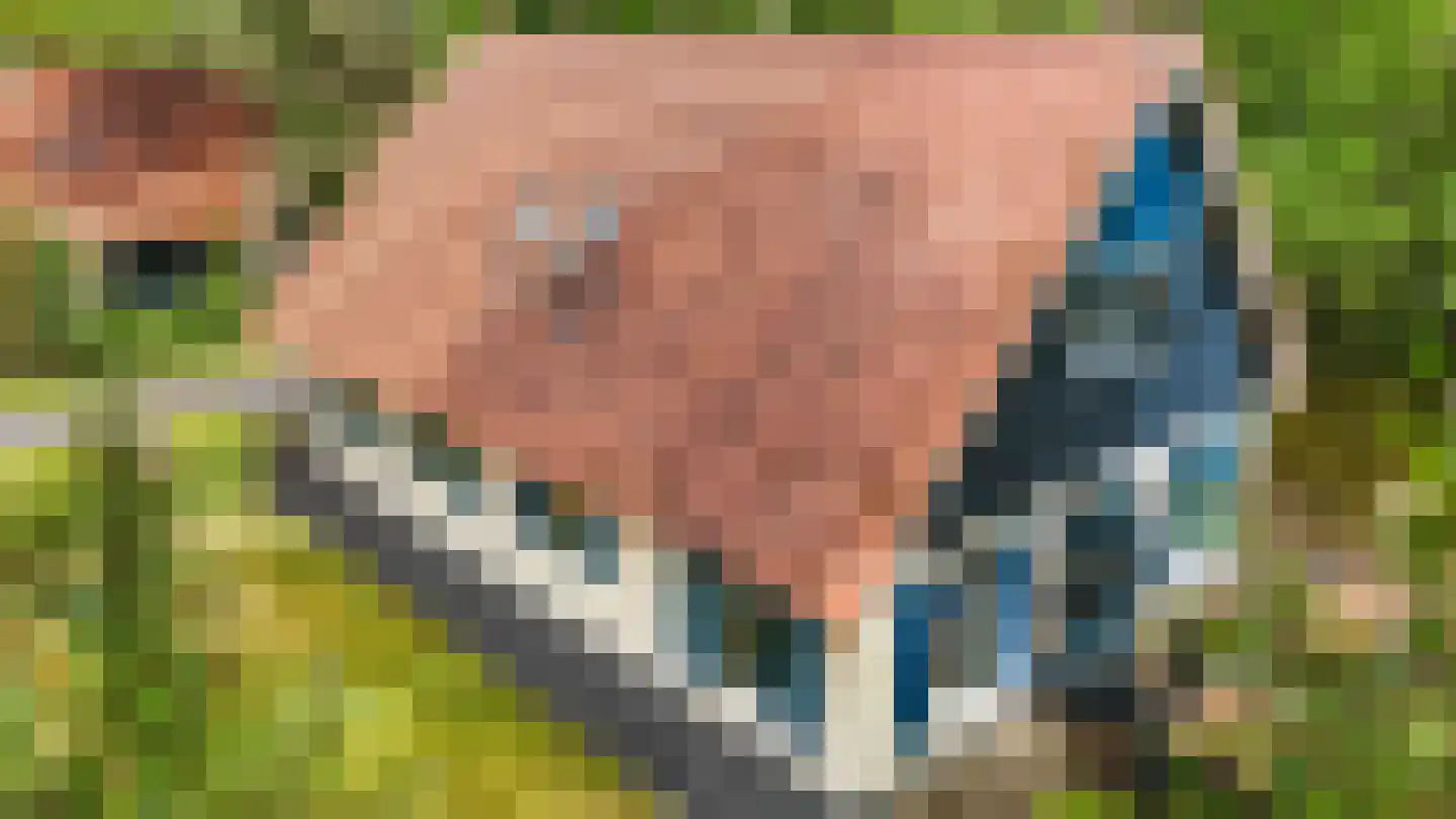Hof van Halenweg 2 147 Hooghalen thumbnail 10